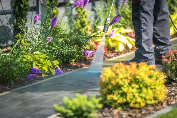 Best Restaurant Pressure Washing  in Houghton Lake, MI