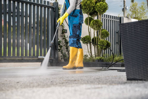 Best Solar Panel Cleaning  in Houghton Lake, MI